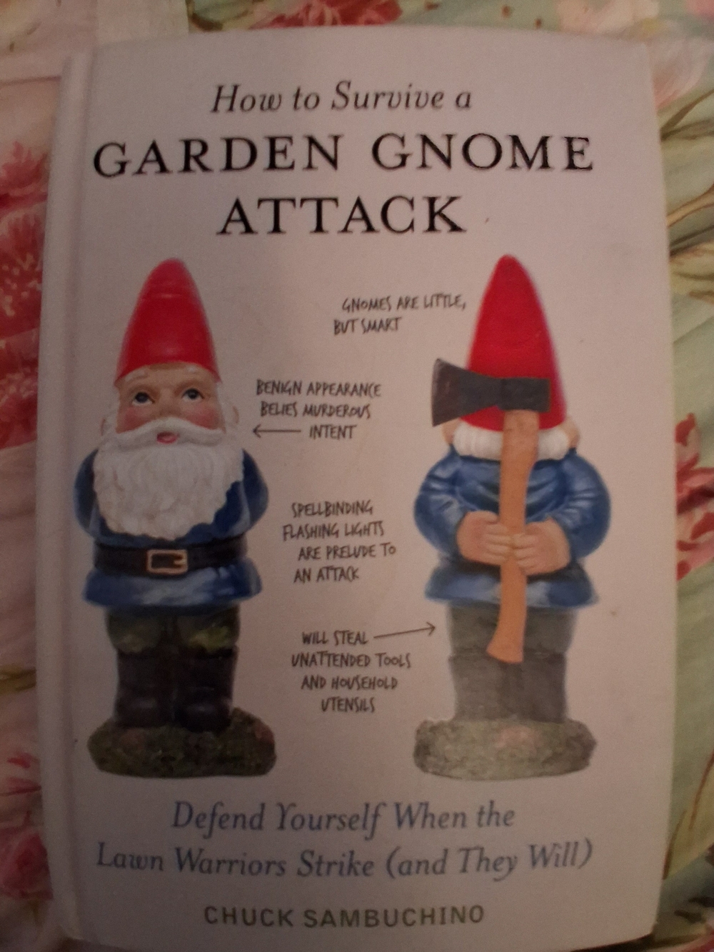 How to Survive a Garden Gnome  Attack By Chuck Sambuchino Hardcover NO DJ 1st ED